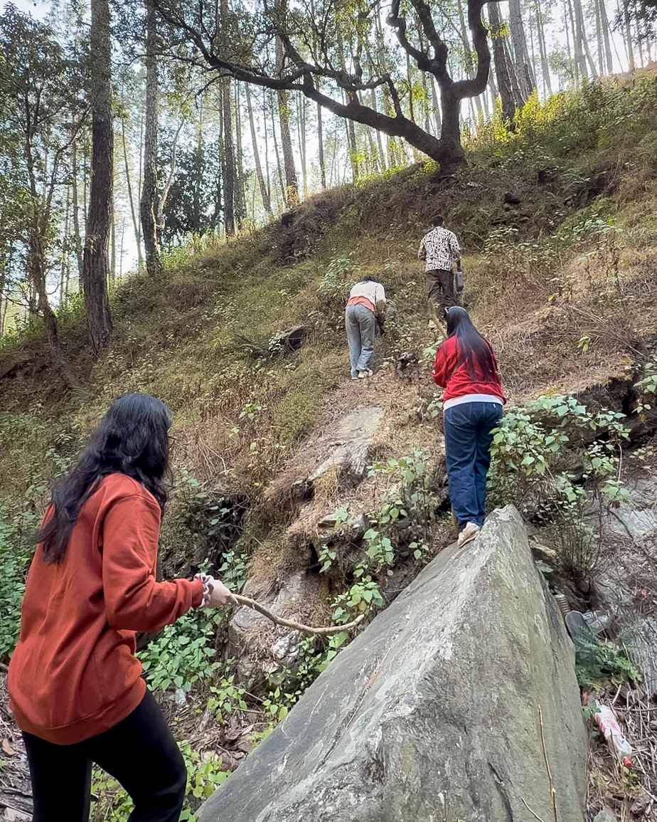 Trekking & Nature Walks
