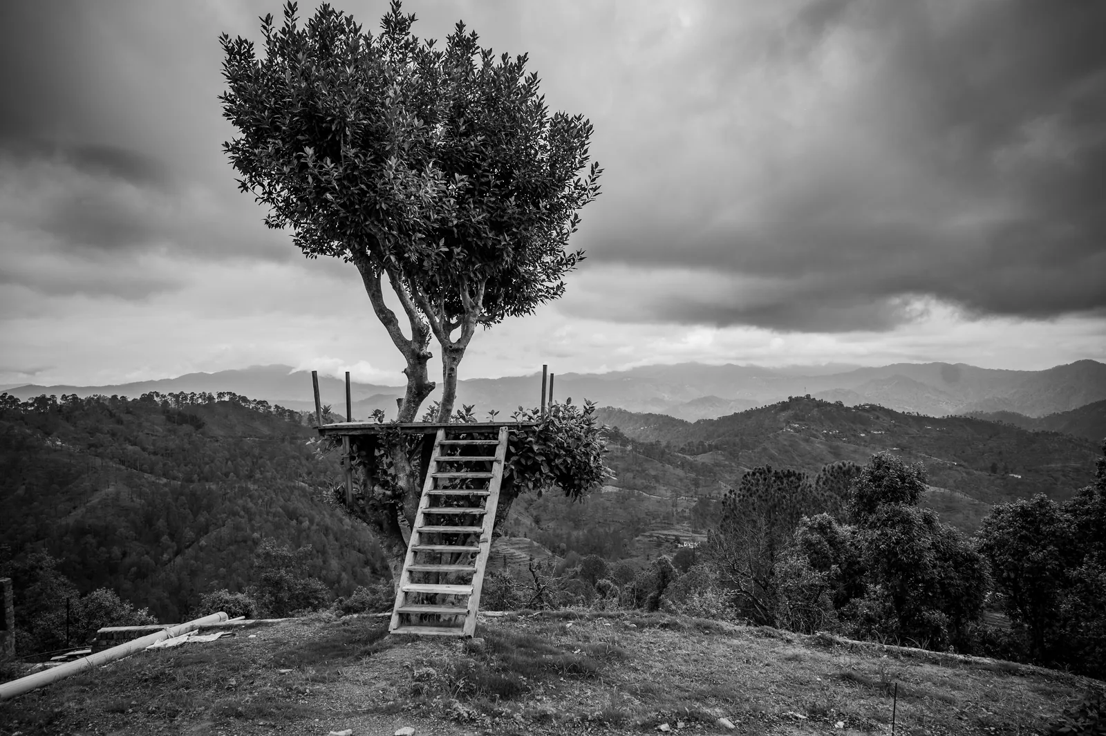 Himadvaya gallery photo 19